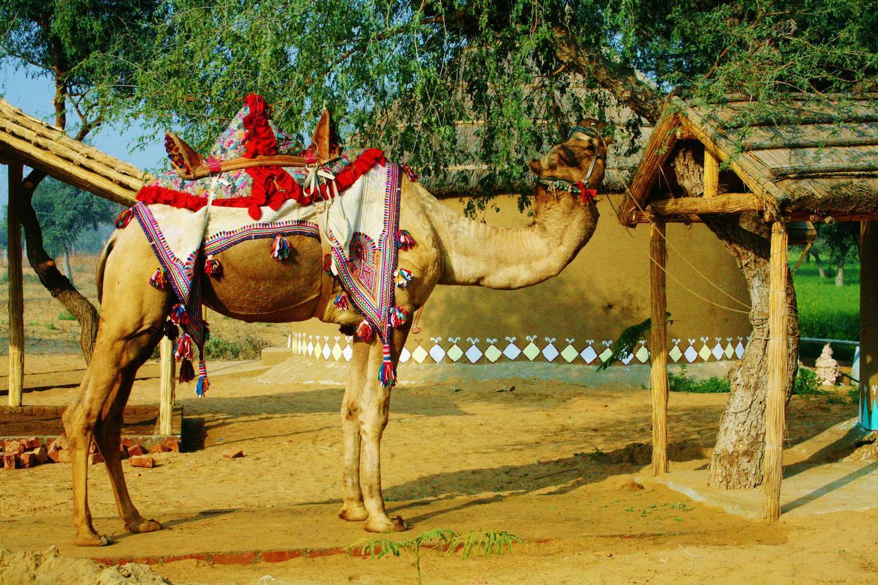 Mandāwa Desert Nights מראה חיצוני תמונה